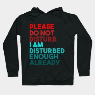 Please Do Not Disturb. I Am Disturbed Enough Already. Hoodie